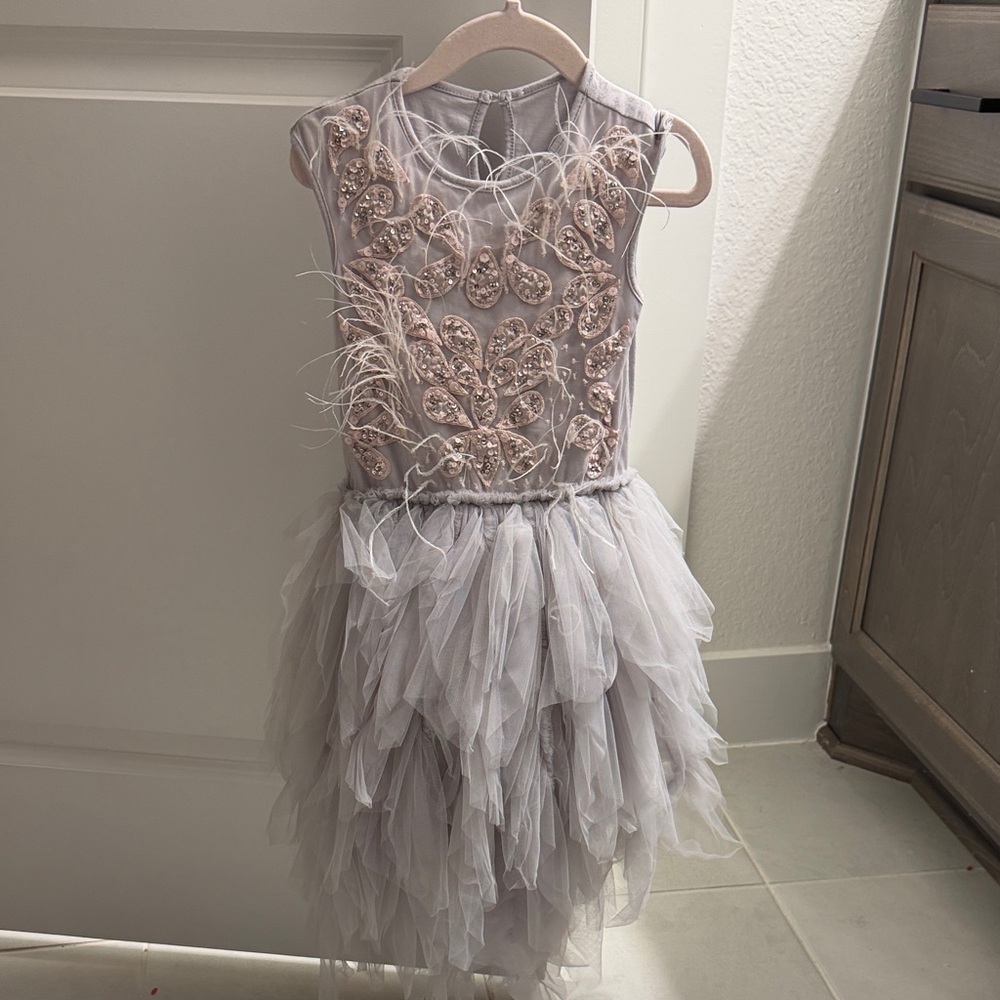 Tutu Du Monde Lilac and Gray Tulle Dress